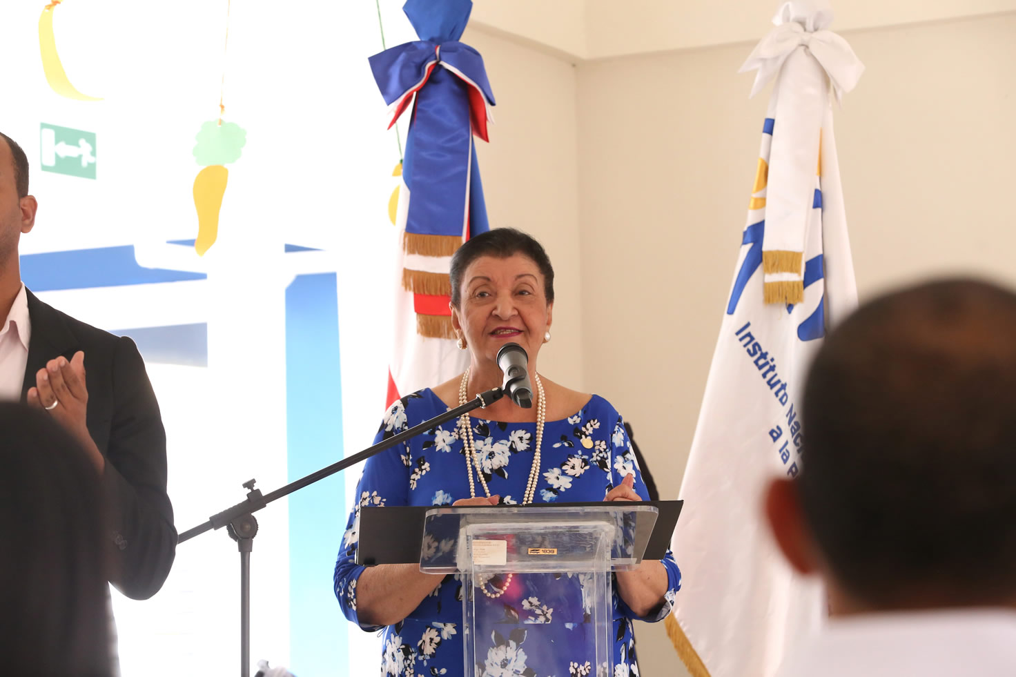 Besaida Manola Santana de Báez, directora ejecutiva del INAIPI