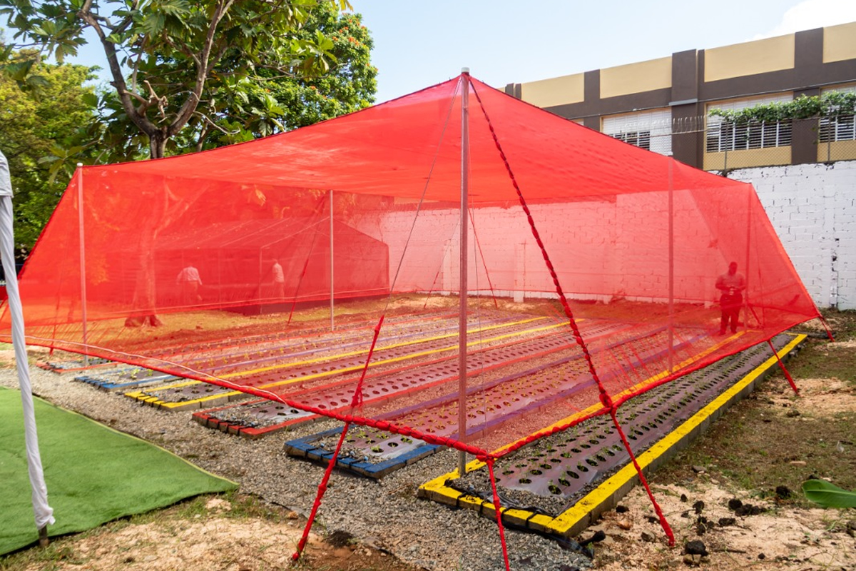 Huerto Modelo Infantil Pedagógico
