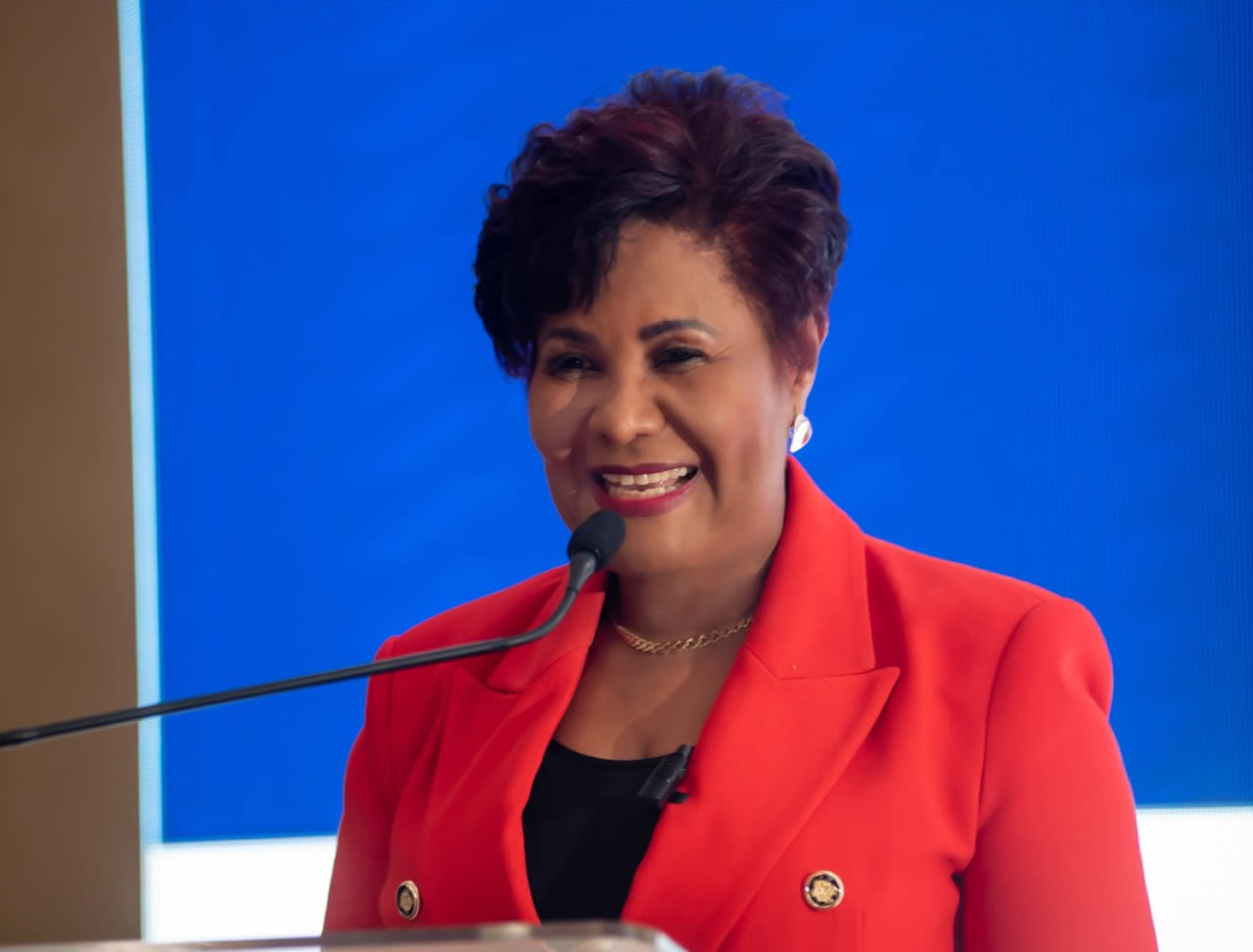 Josefa Castillo Rodríguez, directora ejecutiva del INAIPI