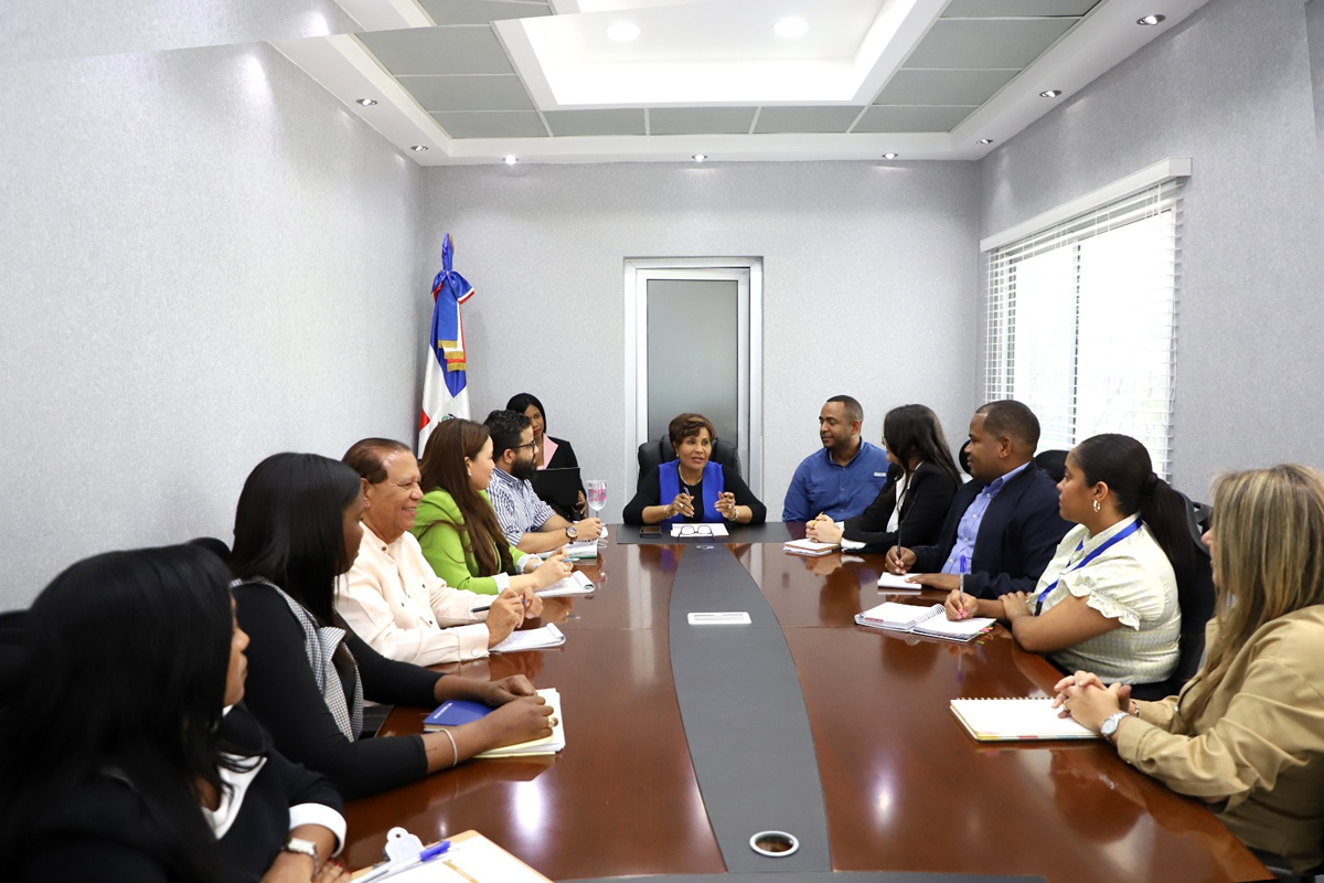 La directora ejecutiva del INAIPI, Josefa Castillo Rodríguez, encabezó la reunión en la que participaron las tres subdirectoras de la institución, así como representantes de las direcciones de Gestión de Redes de Servicios, Operaciones, Articulación Territorial, el Departamento de Seguridad Física y las divisiones de Salud y Seguridad Laboral