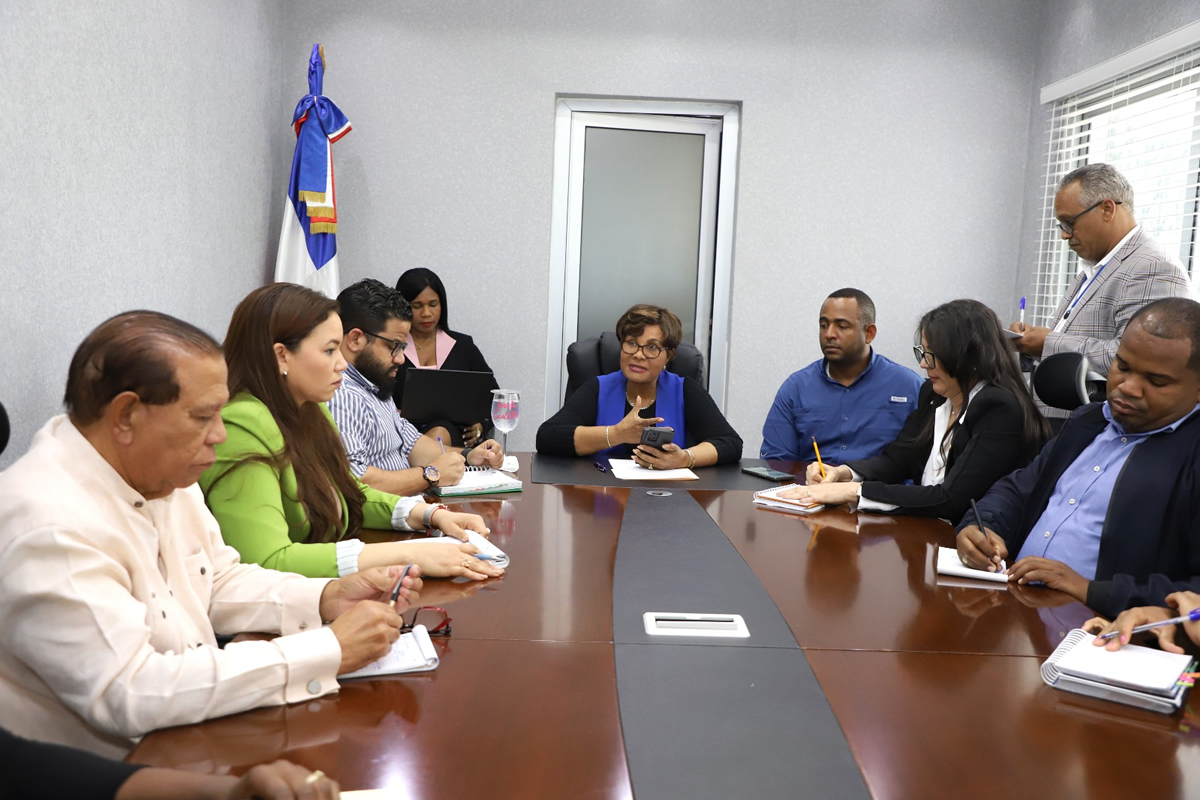 La directora ejecutiva del INAIPI, Josefa Castillo Rodríguez, encabezó la reunión en la que participaron las tres subdirectoras de la institución, así como representantes de las direcciones de Gestión de Redes de Servicios, Operaciones, Articulación Territorial, el Departamento de Seguridad Física y las divisiones de Salud y Seguridad Laboral